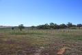 Property photo of 163 Jonel Park Road Allora QLD 4362