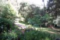 Property photo of 23 William Road The Patch VIC 3792