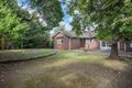 Property photo of 49 Trawool Street Box Hill North VIC 3129