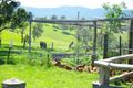 Property photo of 121 Gillespies Road Yowrie NSW 2550