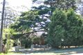 Property photo of Bareena Avenue Wahroonga NSW 2076