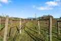 Property photo of 173 Tea Tree Road Brighton TAS 7030