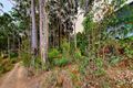Property photo of 53 Litchfield Crescent Long Beach NSW 2536