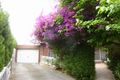Property photo of 9 Piccadilly Place Bulleen VIC 3105