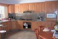Property photo of 131 Griffiths Avenue Bankstown NSW 2200