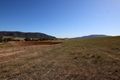 Property photo of 1301 Sandy Creek Road McCullys Gap NSW 2333