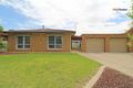 Property photo of 16 Jeeba Place Glenfield Park NSW 2650