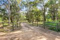 Property photo of 318 Tamborine Mountain Road Tamborine QLD 4270