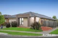 Property photo of 20 Penelope Close Cranbourne North VIC 3977