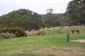 Property photo of 275 Portreath Road Bellbrae VIC 3228