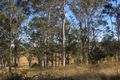 Property photo of 6 Johnson Street Bonalbo NSW 2469