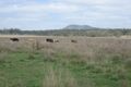 Property photo of 4510 Cunningham Highway Warrill View QLD 4307