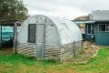 Property photo of 5368 Strathbogie Road Emmaville NSW 2371