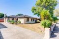 Property photo of 52 Kardinian Avenue Cheltenham VIC 3192
