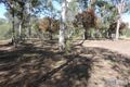 Property photo of 113-119 Swan Road Jimboomba QLD 4280