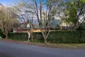 Property photo of 12 Chilton Parade Warrawee NSW 2074