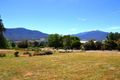 Property photo of 16 Hores Lane Tawonga VIC 3697