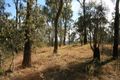 Property photo of 282 Wivenhoe Somerset Road Split Yard Creek QLD 4306