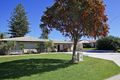 Property photo of 3 Cadd Street Balcatta WA 6021
