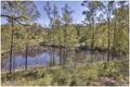 Property photo of 23 The Boomerang Freemans Reach NSW 2756