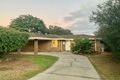 Property photo of 14 Yallambee Crescent Wanneroo WA 6065