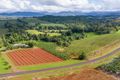 Property photo of 329 Utchee Creek Road Utchee Creek QLD 4871