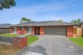 Property photo of 6 Kenna Street Macleod VIC 3085