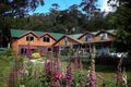 Property photo of 13076 Highland Lakes Road Golden Valley TAS 7304