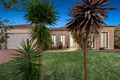 Property photo of 12 Bounty Way Berwick VIC 3806