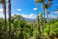 Property photo of 317 Toogood Road Bayview Heights QLD 4868