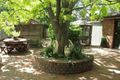 Property photo of 11 Kiddle Crescent Richardson ACT 2905