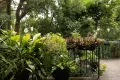 Property photo of 8/385 New Canterbury Road Dulwich Hill NSW 2203