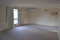Property photo of 17 Grace Street Narrabri NSW 2390