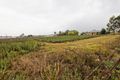 Property photo of 3 Turnbull Avenue Kemps Creek NSW 2178