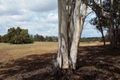 Property photo of 17 Jacaranda Close Chittering WA 6084