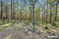 Property photo of 49 Spring Place Bingie NSW 2537