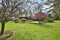 Property photo of 889C Illaroo Road Tapitallee NSW 2540