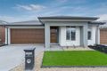 Property photo of 31 Pascal Crescent Kalkallo VIC 3064
