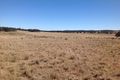 Property photo of 2511 Old Cootamundra Road Dirnaseer NSW 2666