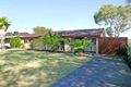 Property photo of 16 Mayflower Crescent Craigie WA 6025