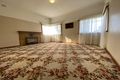 Property photo of 31 Ellenvale Avenue Pascoe Vale South VIC 3044