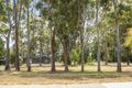 Property photo of 45 McManus Circuit Witchcliffe WA 6286