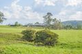 Property photo of 1230 Gresford Road Vacy NSW 2421