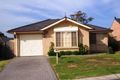 Property photo of 4 Harrison Place Minto NSW 2566