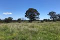 Property photo of Cameron Road Dalveen QLD 4374