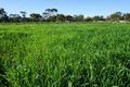 Property photo of 44 Riley Road Moora WA 6510