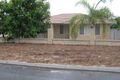 Property photo of 14 Threadleaf Way Mirrabooka WA 6061