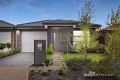 Property photo of 164 Third Avenue Rosebud VIC 3939