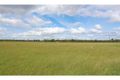 Property photo of 312 Mitchell Line Of Road Whittingham NSW 2330