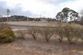 Property photo of 150 Red Range Road Glen Innes NSW 2370